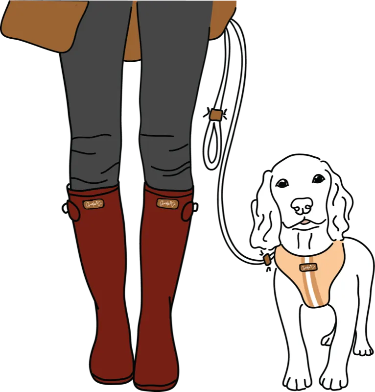 Charlie + Co illustration