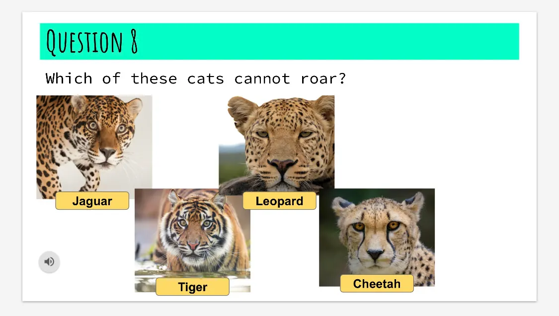 Quiz slide